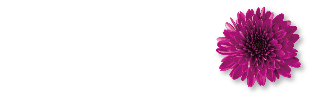 Free Bell Rycom Brezza フリーベル ライカム ブレッザ